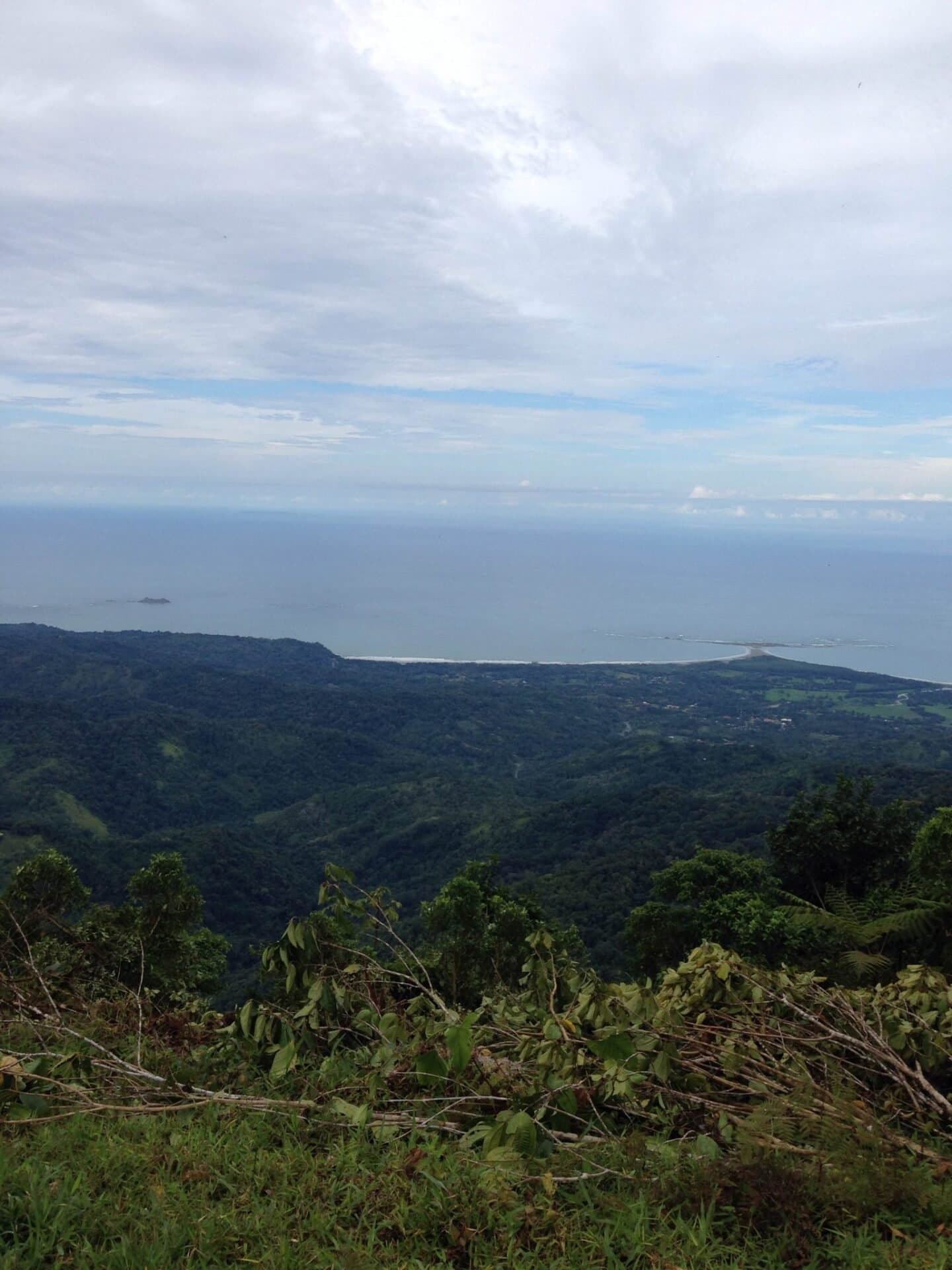 79 ACRES – Amazing Farm On Ridge Top With Whale s Tail Ocean View And 800 Exotic Tropical Fruit Trees! property photo 2 in Costa Rica