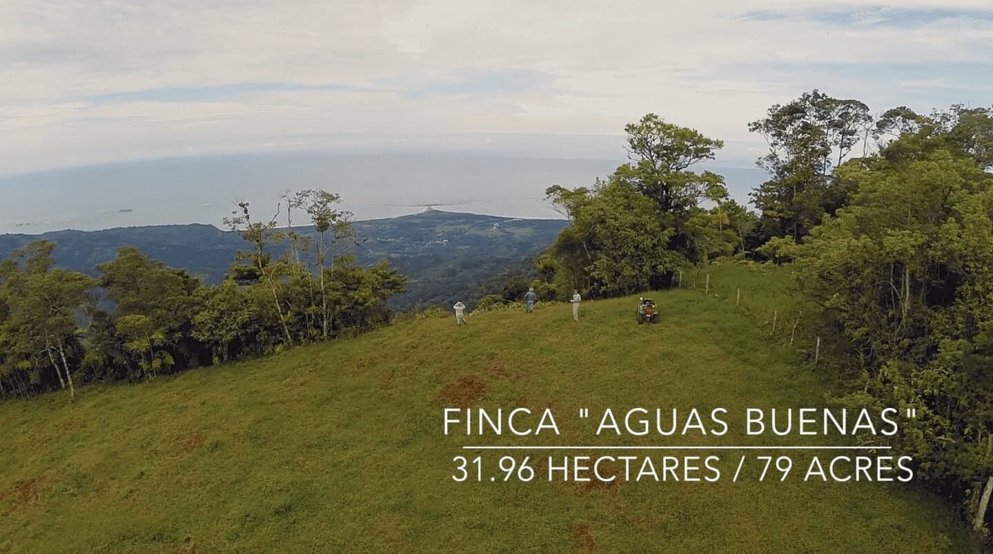 79 ACRES – Amazing Farm On Ridge Top With Whale s Tail Ocean View And 800 Exotic Tropical Fruit Trees! photo 3