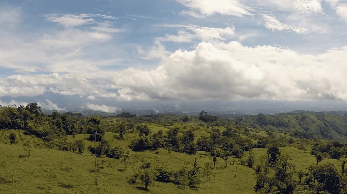 79 ACRES – Amazing Farm On Ridge Top With Whale s Tail Ocean View And 800 Exotic Tropical Fruit Trees! photo 4