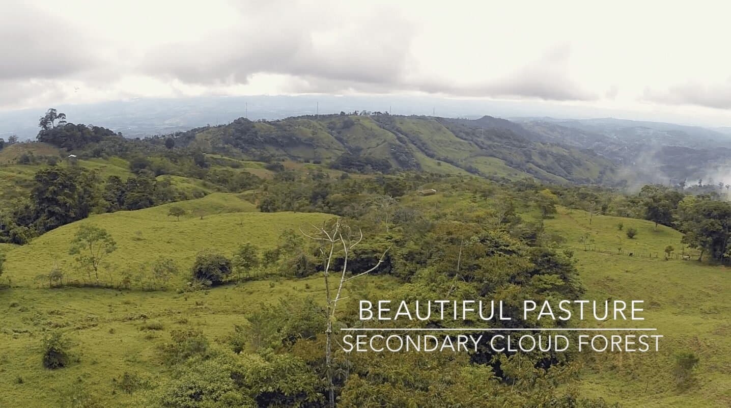 79 ACRES – Amazing Farm On Ridge Top With Whale s Tail Ocean View And 800 Exotic Tropical Fruit Trees! photo 5