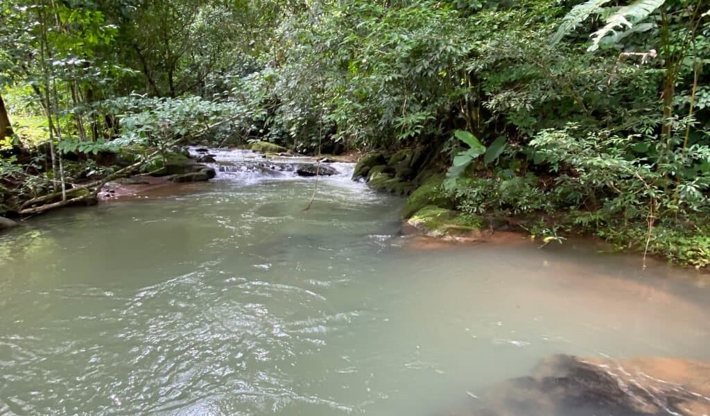 35 ACRES Beautiful Creek Running Across(!) The Property, Spectacular Valley Views And Gently Sloped Hills! photo 3