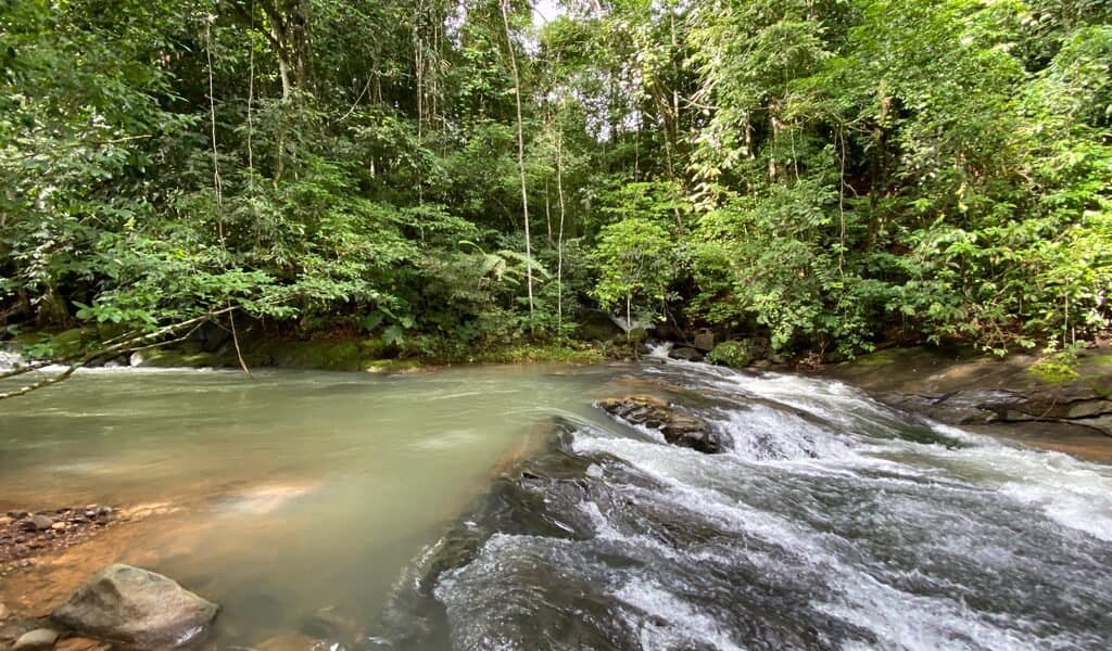 35 ACRES Beautiful Creek Running Across(!) The Property, Spectacular Valley Views And Gently Sloped Hills! property photo 4 in Costa Rica