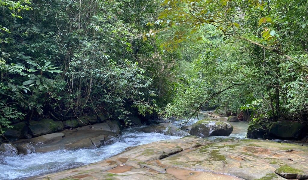 35 ACRES Beautiful Creek Running Across(!) The Property, Spectacular Valley Views And Gently Sloped Hills! property photo 2 in Costa Rica