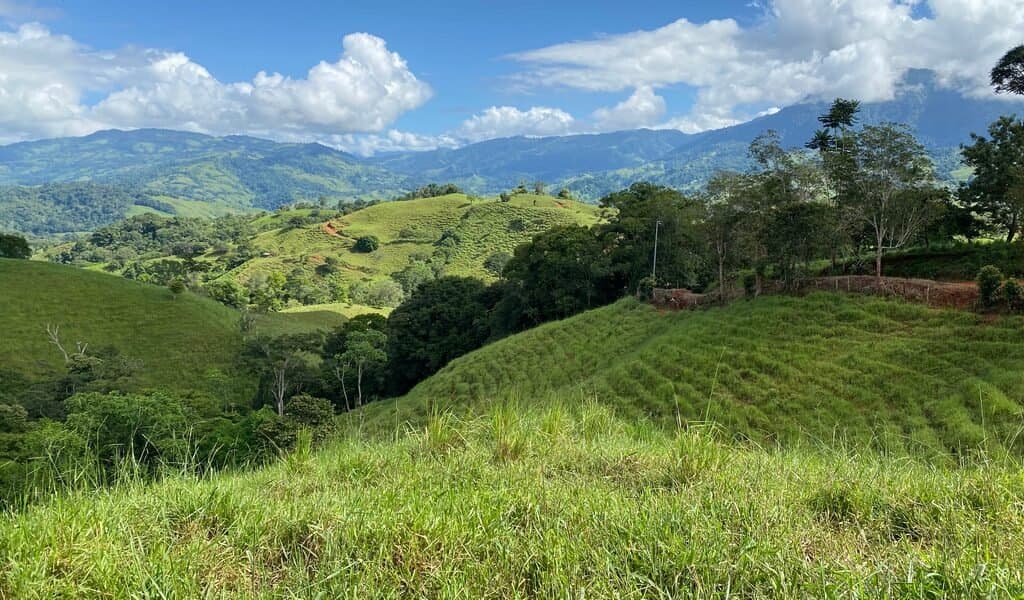 35 ACRES Beautiful Creek Running Across(!) The Property, Spectacular Valley Views And Gently Sloped Hills! property photo 5 in Costa Rica