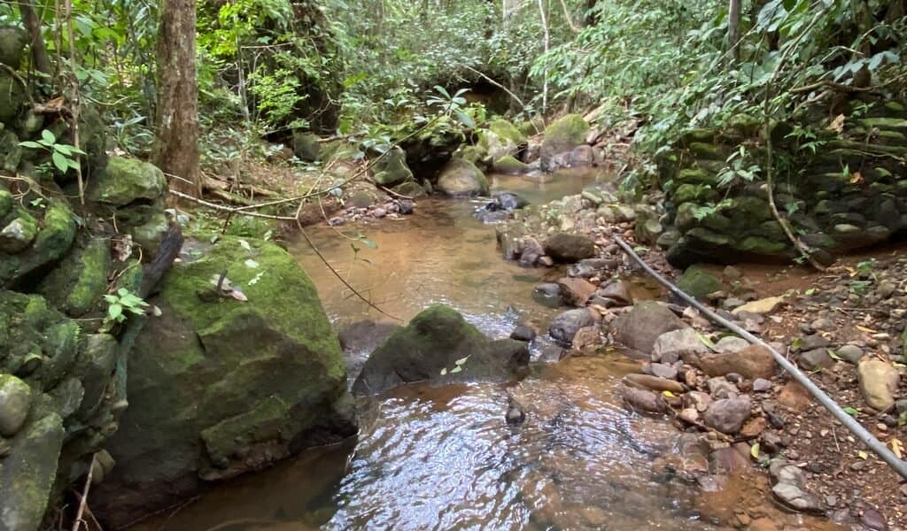 1.9 ACRES Very Usable Flat Land Divided By An Across Running Creek, Tons Of Fruit Trees Plus Woods In The Back! photo 2