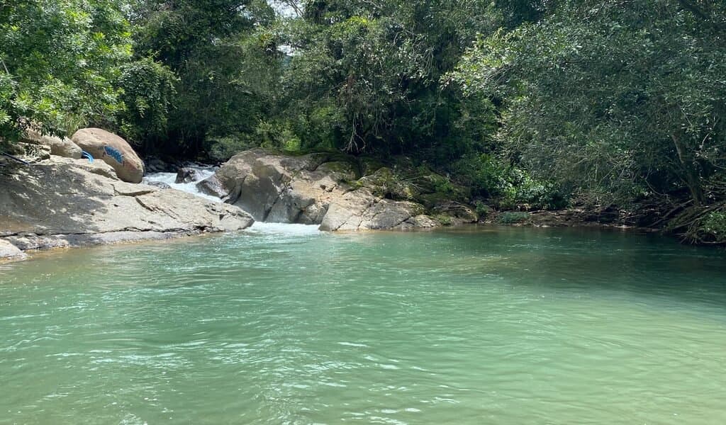 1.9 ACRES Very Usable Flat Land Divided By An Across Running Creek, Tons Of Fruit Trees Plus Woods In The Back!