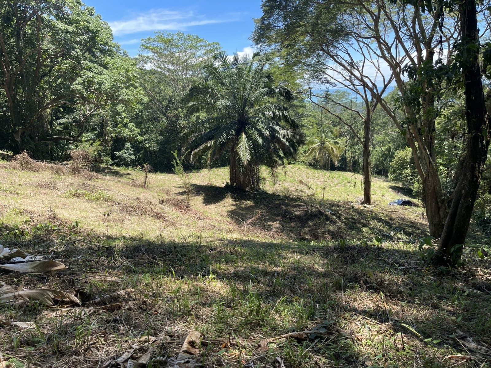 5.4 ACRES Amazing Ocean View Acreage With Multiple Building Sites And Legal Water! property photo 3 in Costa Rica