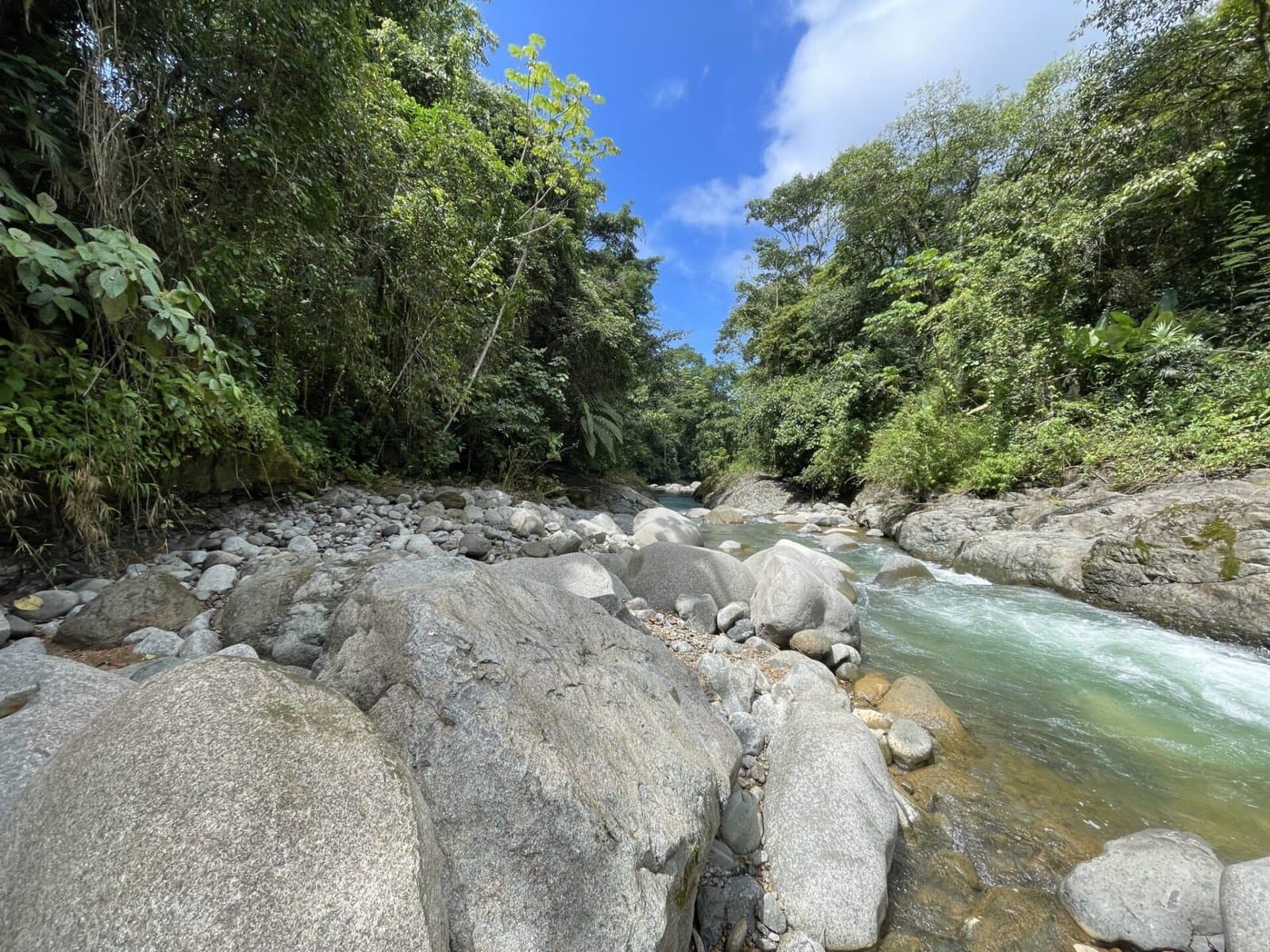 25 ACRES Absolutely Exceptional Property W/ Stunning Ocean Mountain Views! photo 5