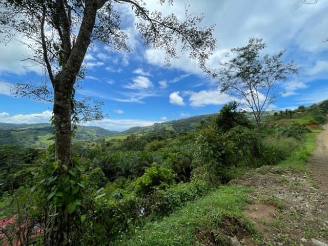 2.5 ACRES Amazing Mountain View Property With Multiple Rivers In The Area! (A) photo 3