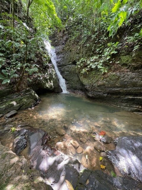 25 ACRES Absolutely Exceptional Property W/ Stunning Ocean Mountain Views! photo 2