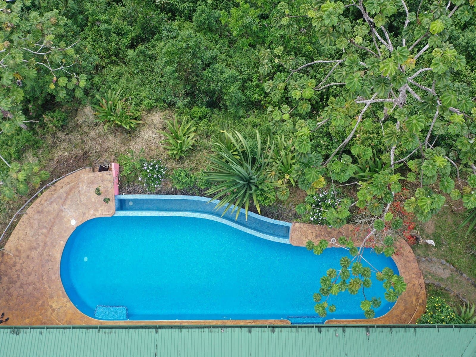 5.2 ACRES 2 Bedroom Home With 60 Ft Infinity Lap Pool, 1 Bedroom Guest House, Fabulous Ocean View, Mature Fruit Trees! property photo 5 in Costa Rica