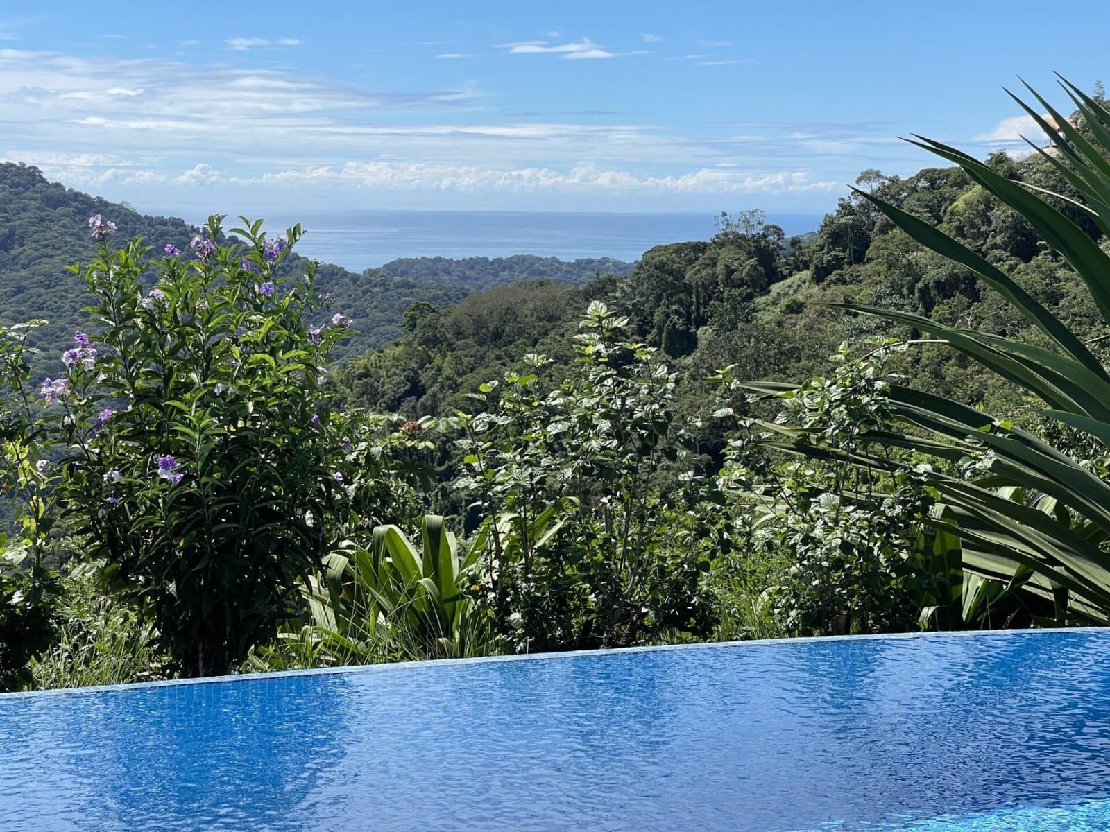 5.2 ACRES 2 Bedroom Home With 60 Ft Infinity Lap Pool, 1 Bedroom Guest House, Fabulous Ocean View, Mature Fruit Trees! photo 1