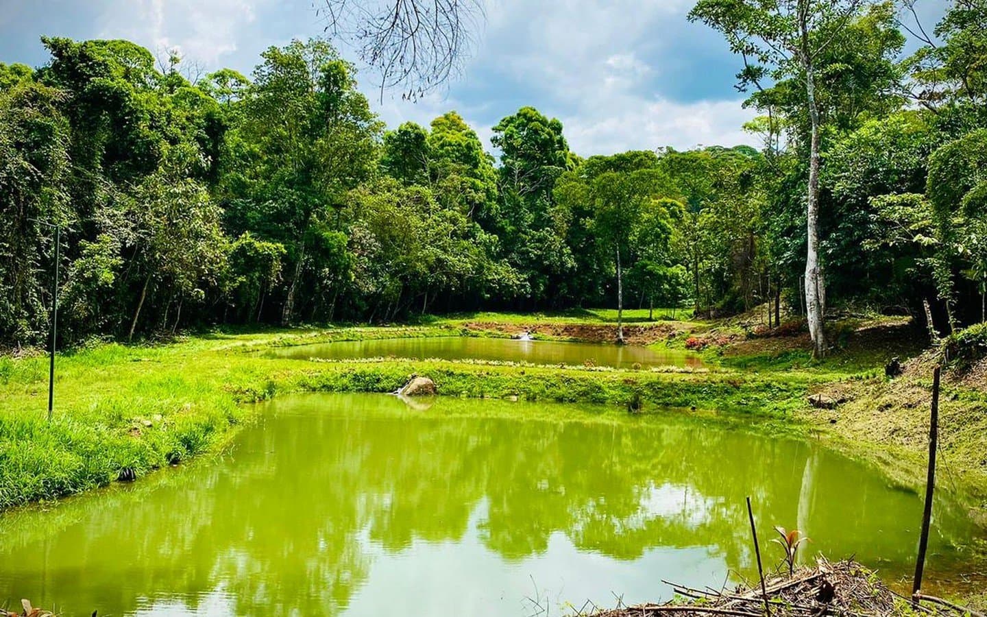 30.65 ACRES The Best Farm In The Area, With Beautiful River, 3 Springs, 6 Lakes With Fish, Mountain, Rustic House And Lots Of Space To Develop! property photo 3 in Costa Rica