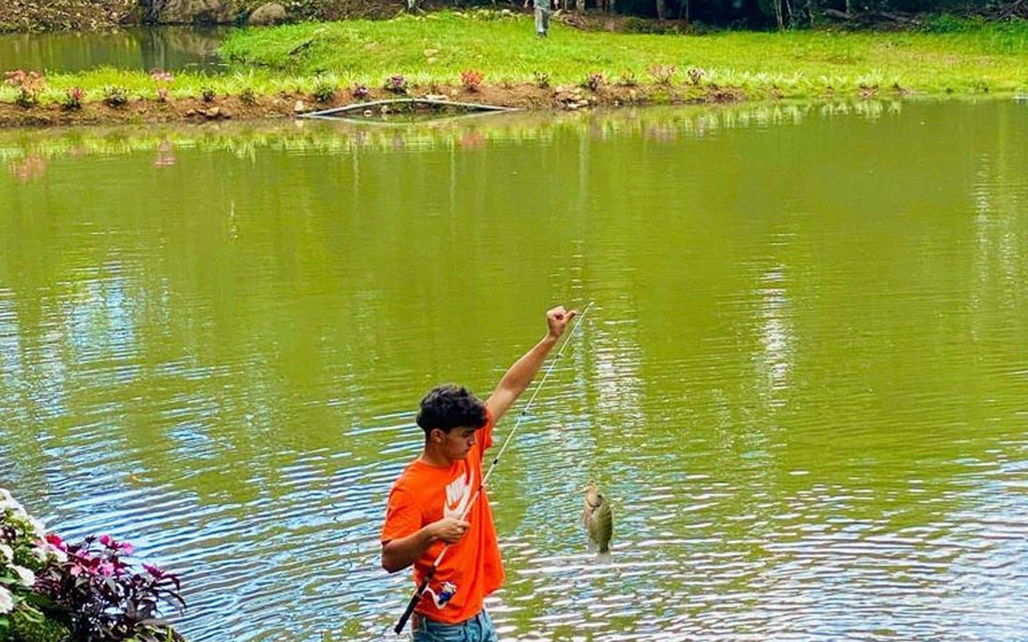 30.65 ACRES The Best Farm In The Area, With Beautiful River, 3 Springs, 6 Lakes With Fish, Mountain, Rustic House And Lots Of Space To Develop! photo 4