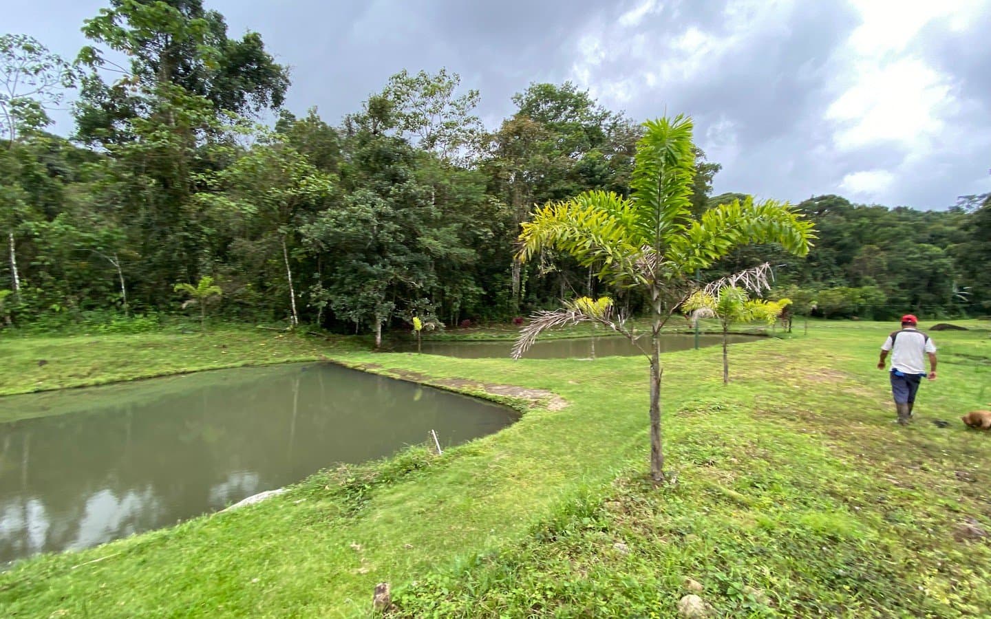 30.65 ACRES The Best Farm In The Area, With Beautiful River, 3 Springs, 6 Lakes With Fish, Mountain, Rustic House And Lots Of Space To Develop! photo 1