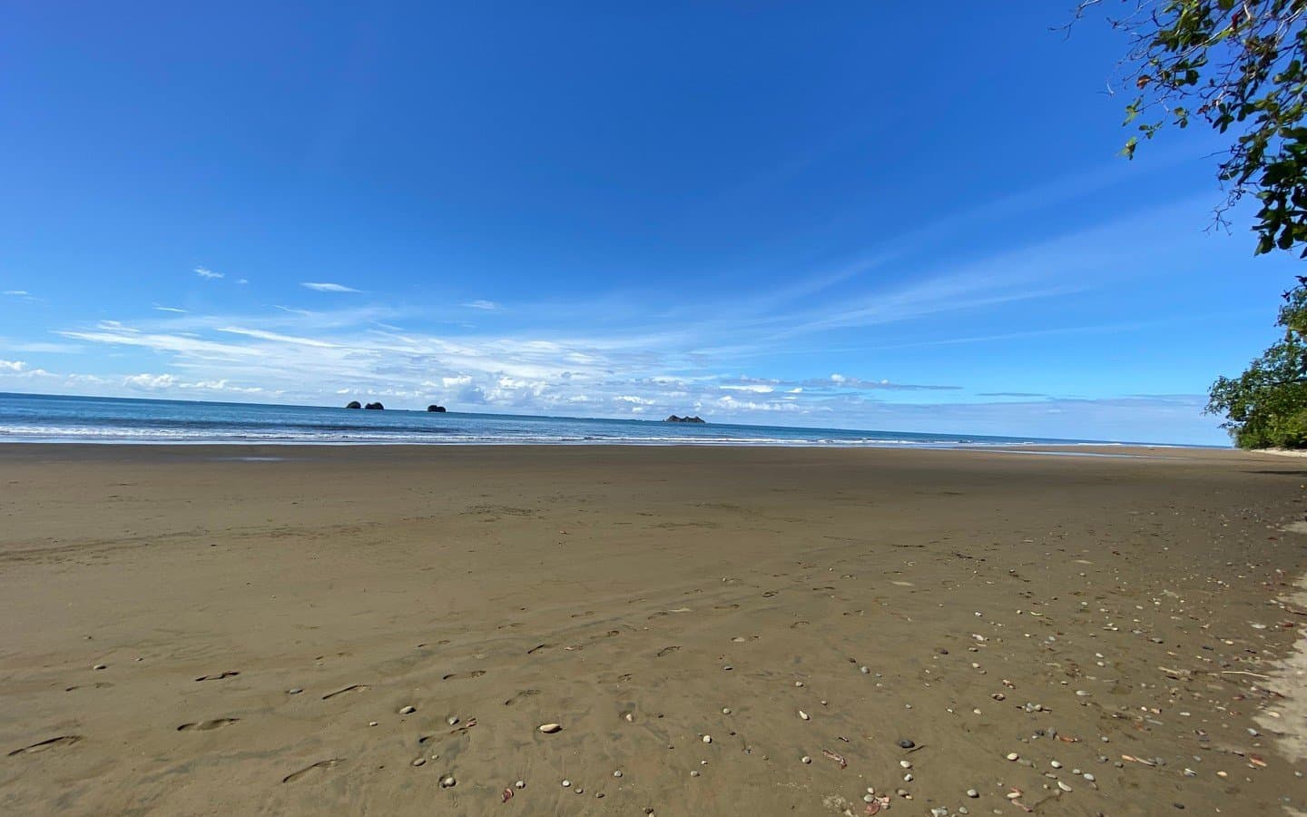 7.12 ACRES – Exclusive Beachfront Property, With 5 Titled Lots Ready To Build Private Beach Access! photo 3