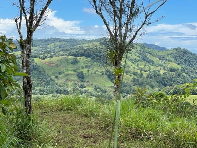 2.5 ACRES – Amazing Mountain View Property With Multiple Rivers In The Area! (B) property photo 5 in Costa Rica