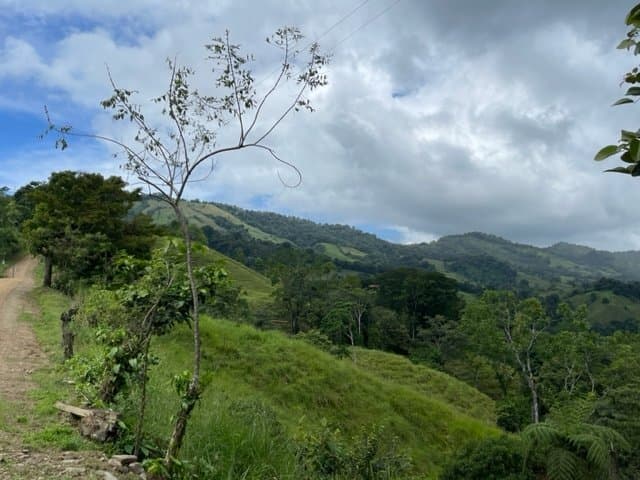 2.5 ACRES – Amazing Mountain View Property With Multiple Rivers In The Area! (B) property photo 3 in Costa Rica
