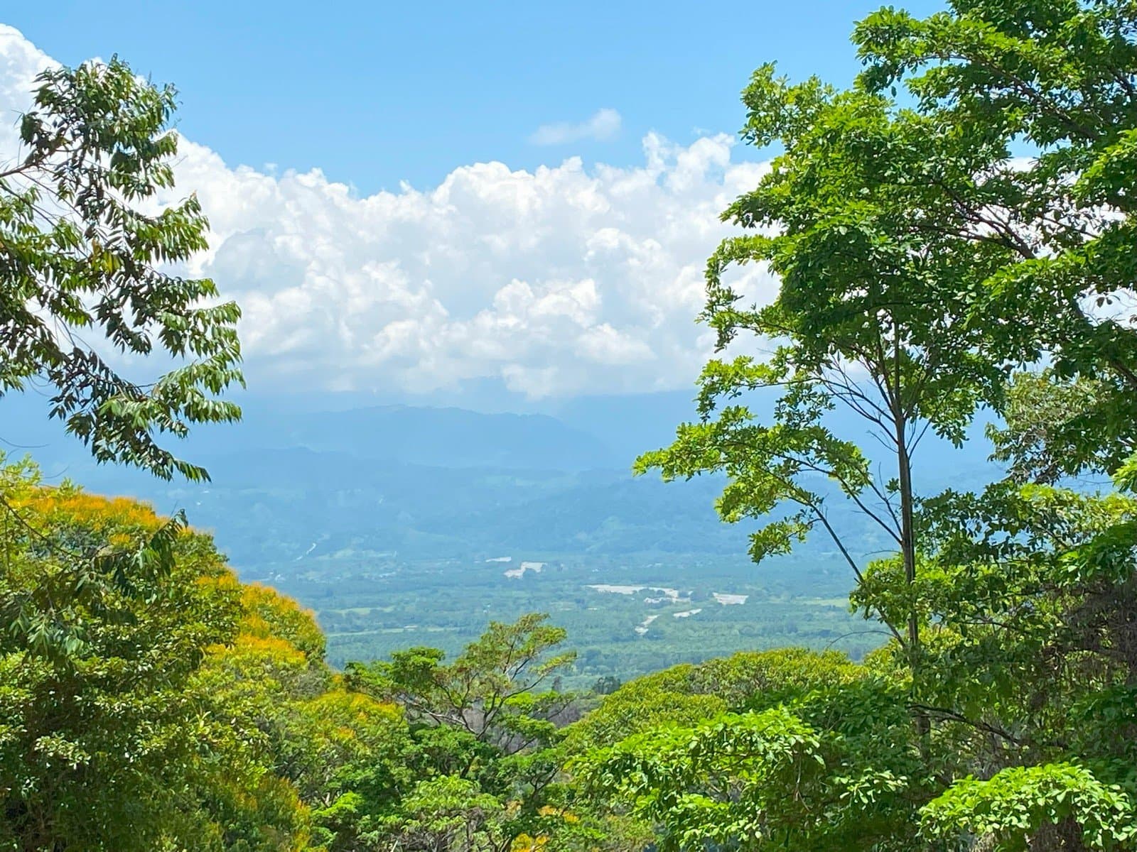 130 ACRES Amazing Acreage With Jungle, River, Spring, Internal Road And The Best Mountain And River View at Just 15min From New Marina In Golfito! photo 2