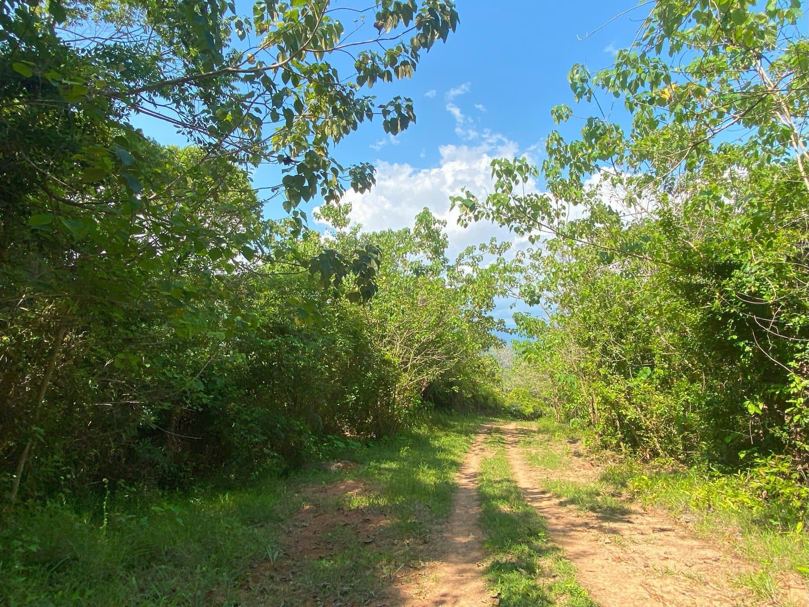 130 ACRES Amazing Acreage With Jungle, River, Spring, Internal Road And The Best Mountain And River View at Just 15min From New Marina In Golfito! photo 4