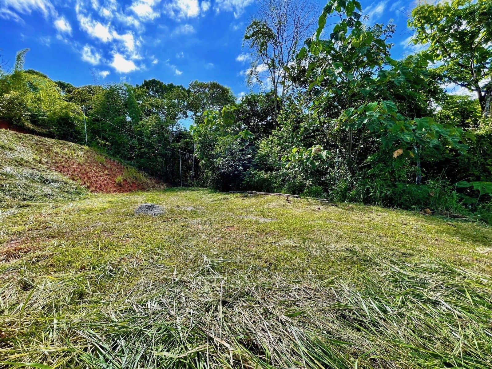 1.3 ACRES – Ocean Views! Legal Water, Public Road, Electricity, Fiber Optics, Lagunas de Baru Community, 15min to Dominical Beach! photo 1