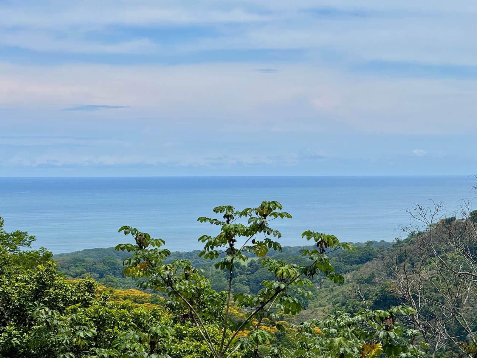 1.6 ACRES 3 Bedroom Ocean And Mountain View Home With Pool, Public Road Frontage, ASADA Water, Room To Expand! photo 3