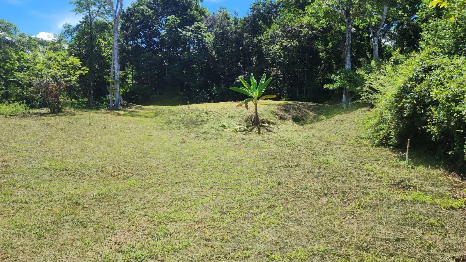 1.25 ACRES Stunning Ocean View Oasis: Exclusive Property With Premium Amenities! photo 4