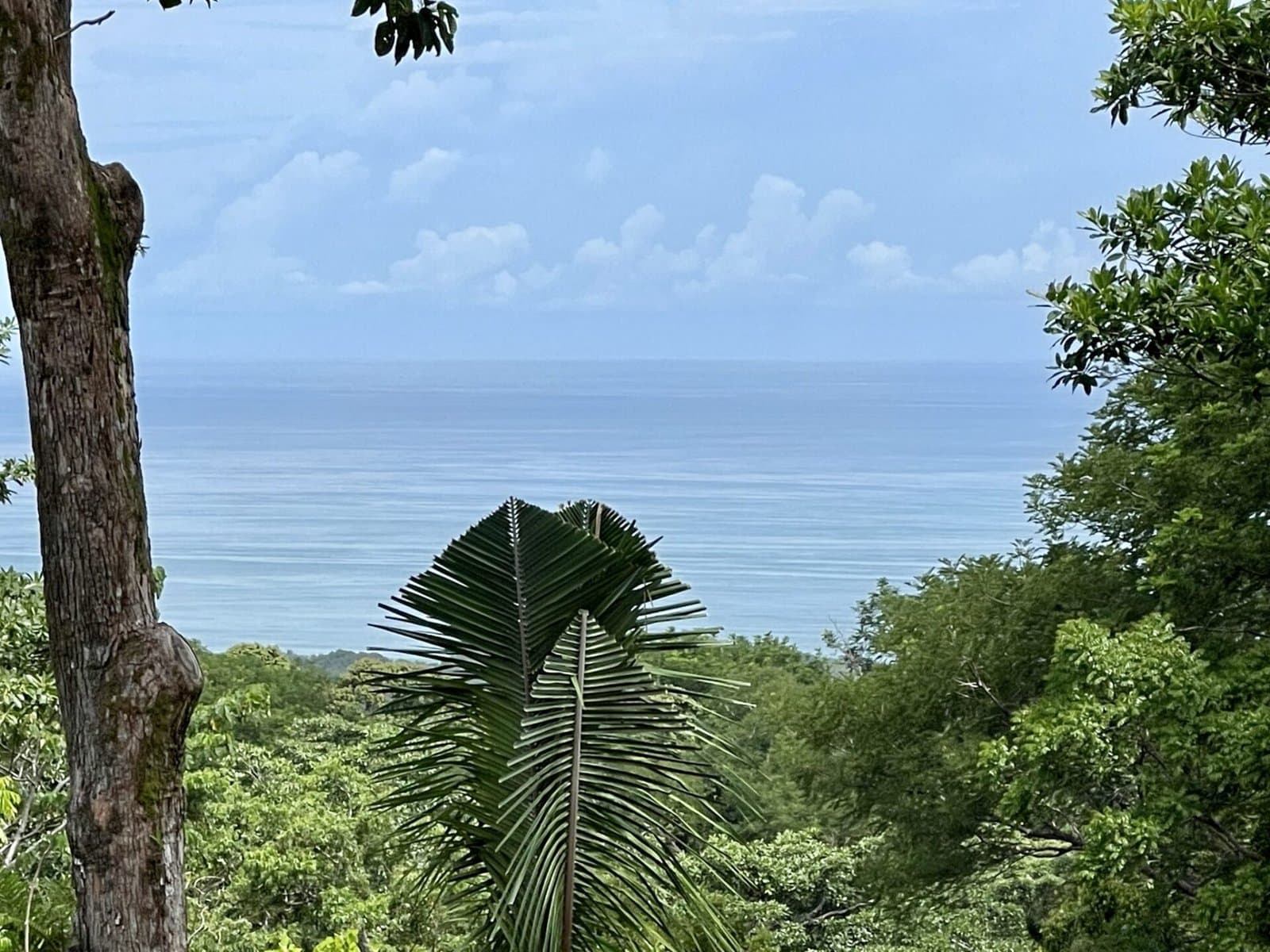 2.4 ACRES Ocean View Lot With Creek Sorrounded By Rainforest In Gated Community! photo 2