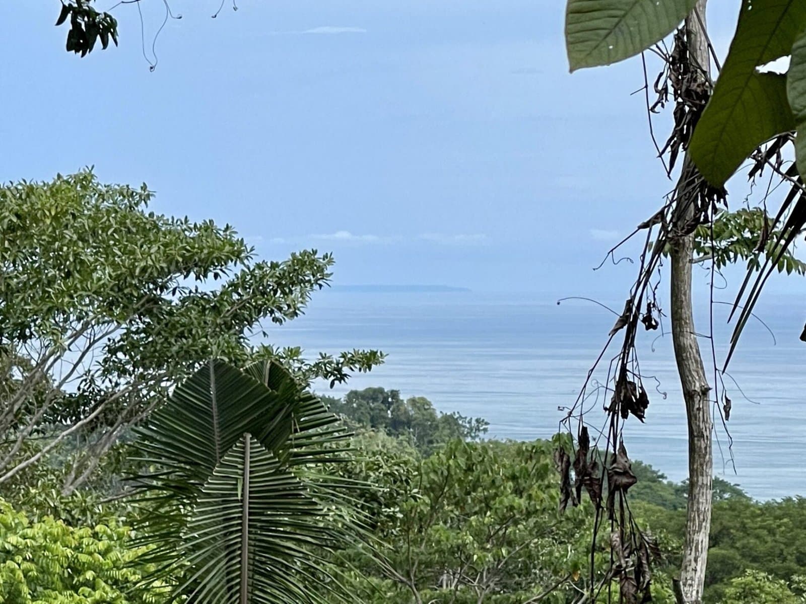 2.4 ACRES Ocean View Lot With Creek Sorrounded By Rainforest In Gated Community! property photo 3 in Costa Rica