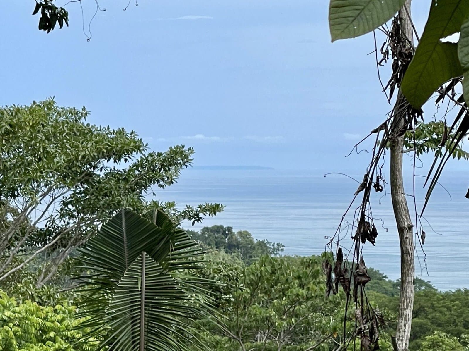 2.4 ACRES Ocean View Lot With Creek Sorrounded By Rainforest In Gated Community! photo 3
