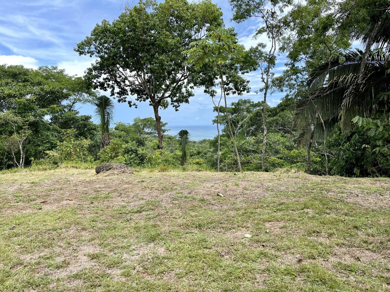 2.4 ACRES Ocean View Lot With Creek Sorrounded By Rainforest In Gated Community! property photo 4 in Costa Rica
