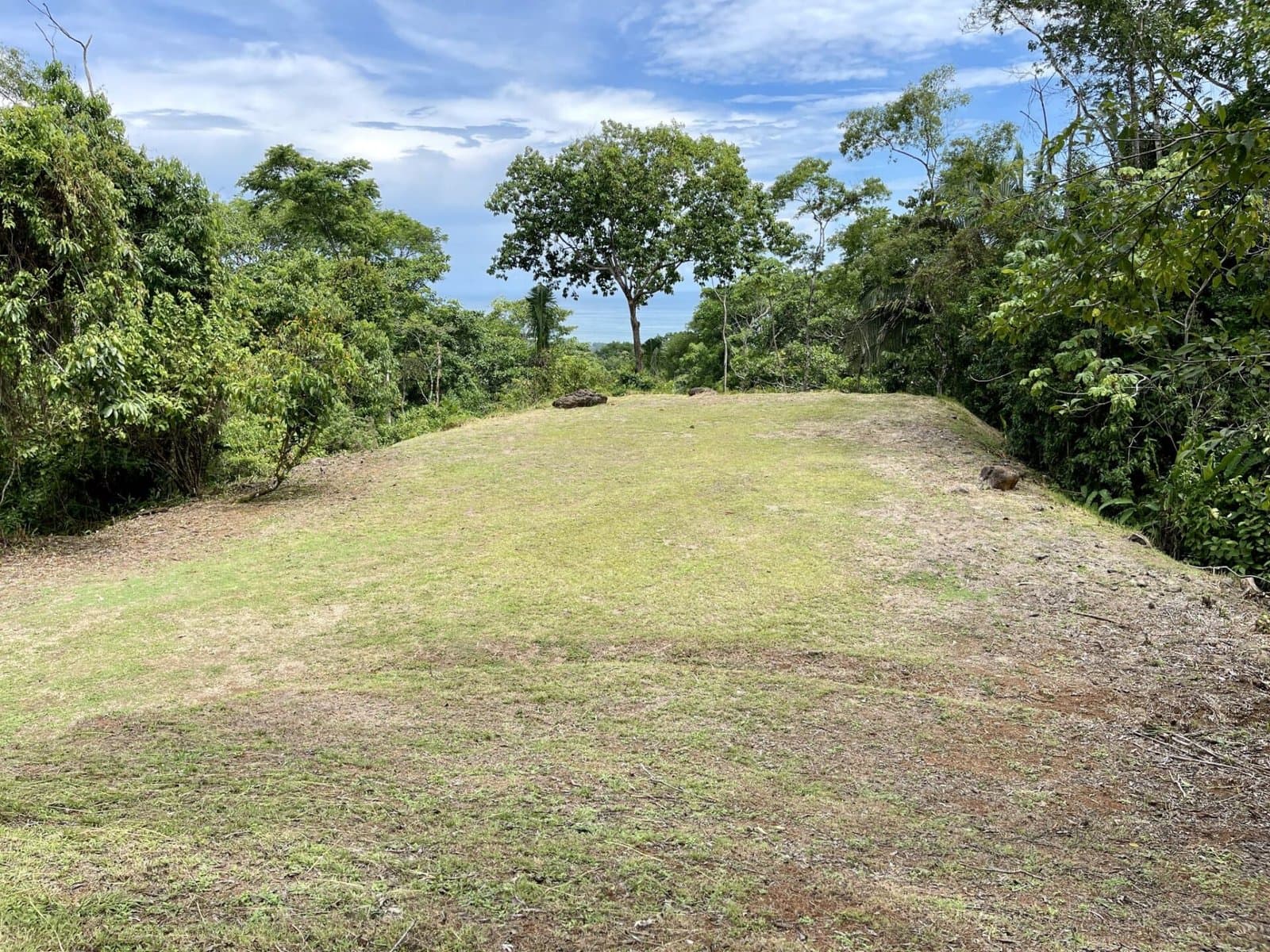 2.4 ACRES Ocean View Lot With Creek Sorrounded By Rainforest In Gated Community! property photo 5 in Costa Rica