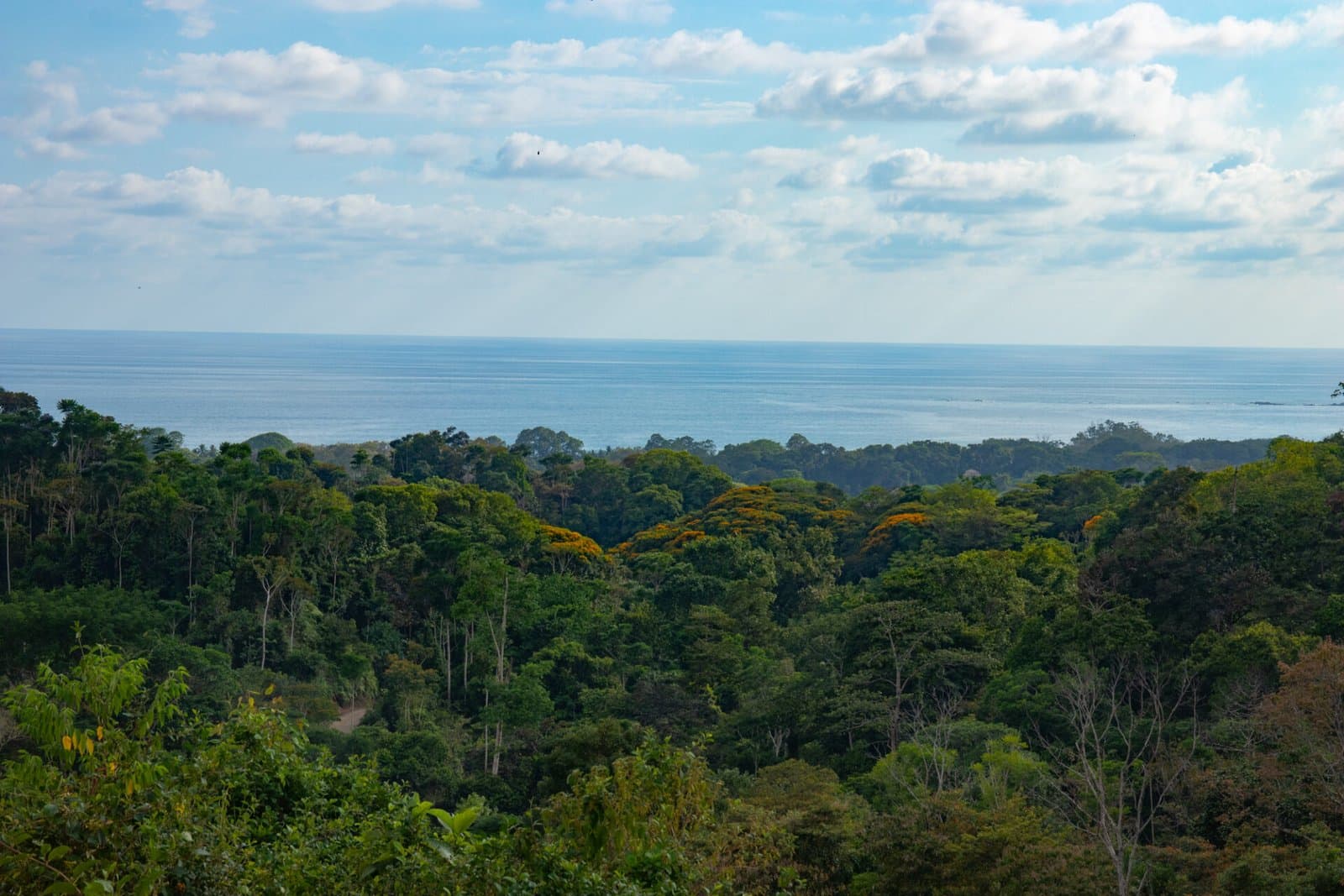 10 ACRES Rare Ocean View Development Or Estate Property In Uvita – With Waterfall!