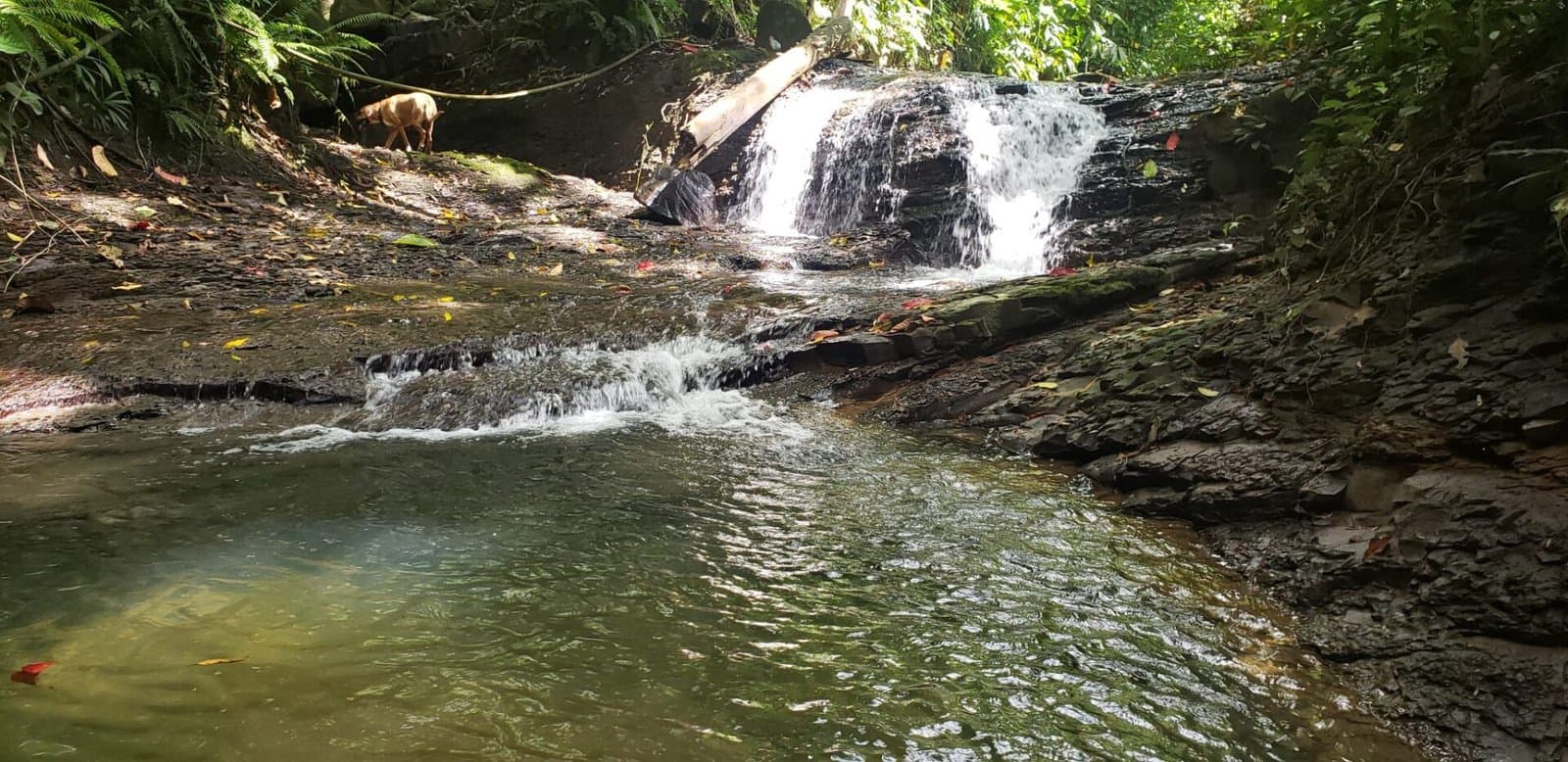 10 ACRES Rare Ocean View Development Or Estate Property In Uvita – With Waterfall! photo 4