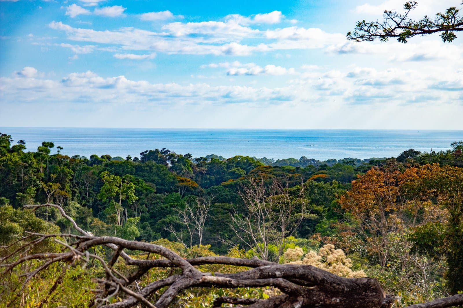 10 ACRES Rare Ocean View Development Or Estate Property In Uvita – With Waterfall! property photo 5 in Costa Rica