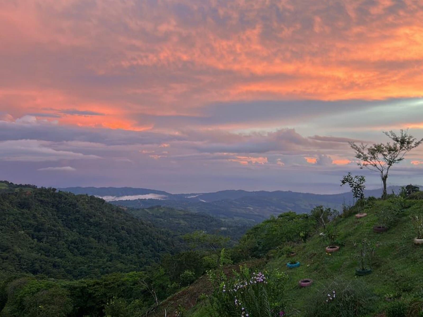 7.85 ACRES – Incredible Mountain and Ocean Views Rustic Home and Guest House, Many Fruit Trees, and More Building Areas on Top of the Mountain!