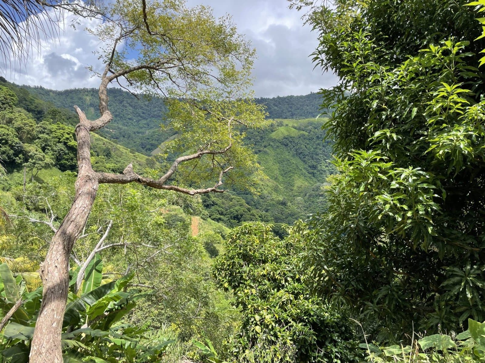 26 ACRES Exceptional Panoramic Ocean View Land With Legal Water And Electricity, Multiple Building Sites! photo 2