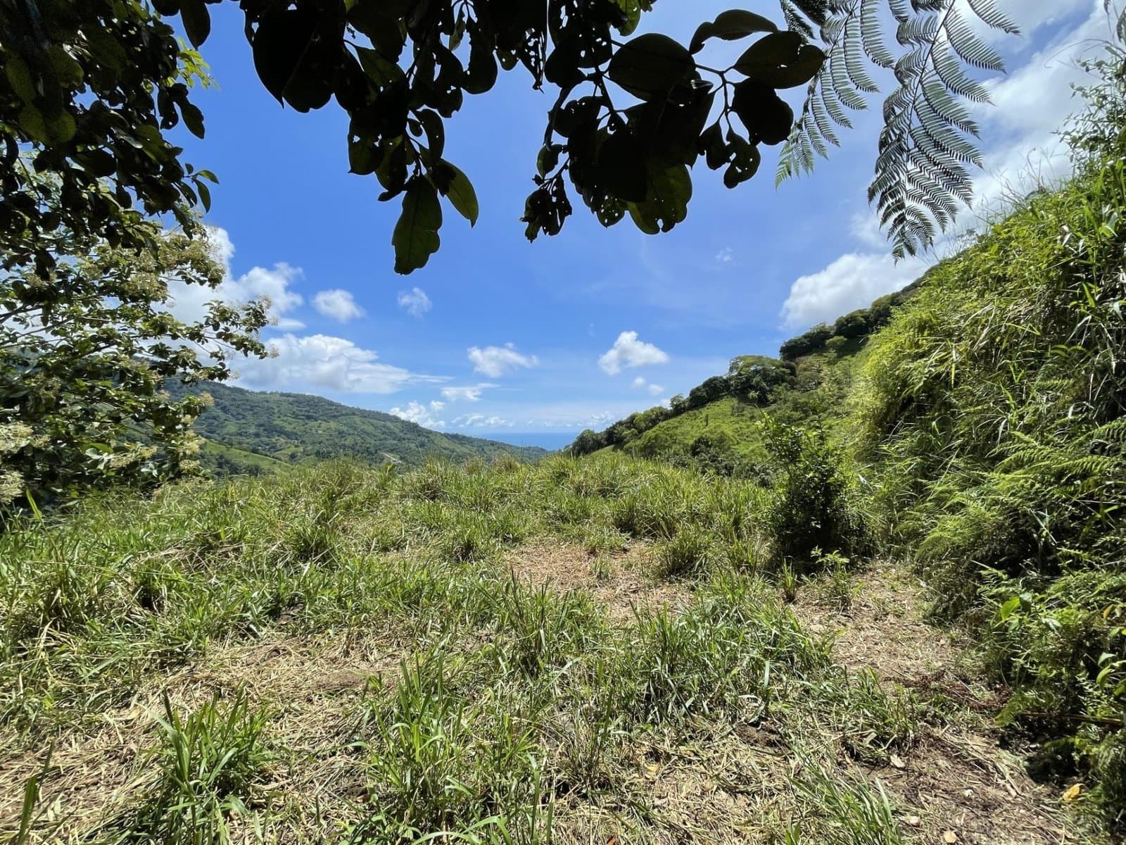 26 ACRES Exceptional Panoramic Ocean View Land With Legal Water And Electricity, Multiple Building Sites! photo 3