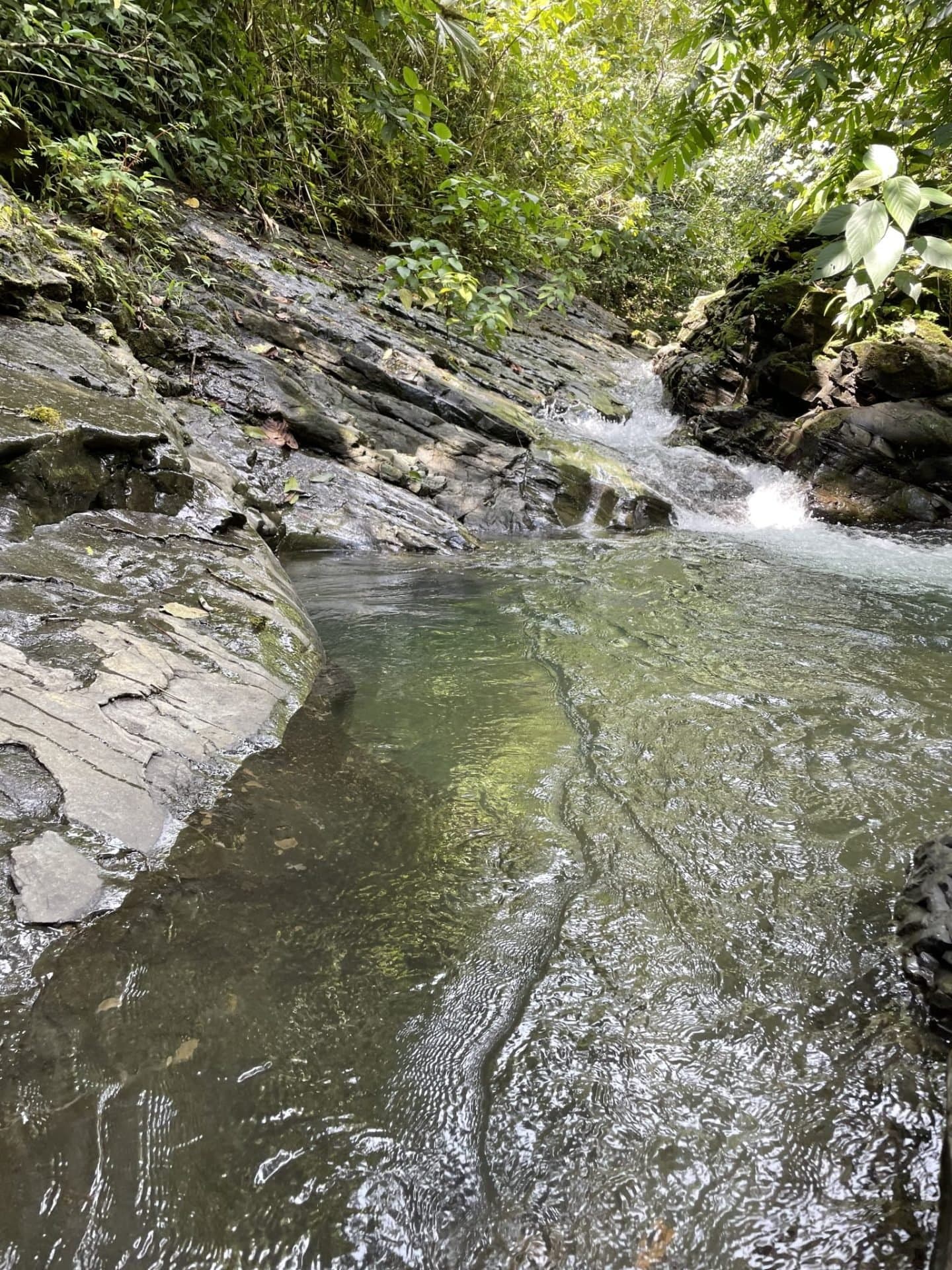 26 ACRES Exceptional Panoramic Ocean View Land With Legal Water And Electricity, Multiple Building Sites! photo 5