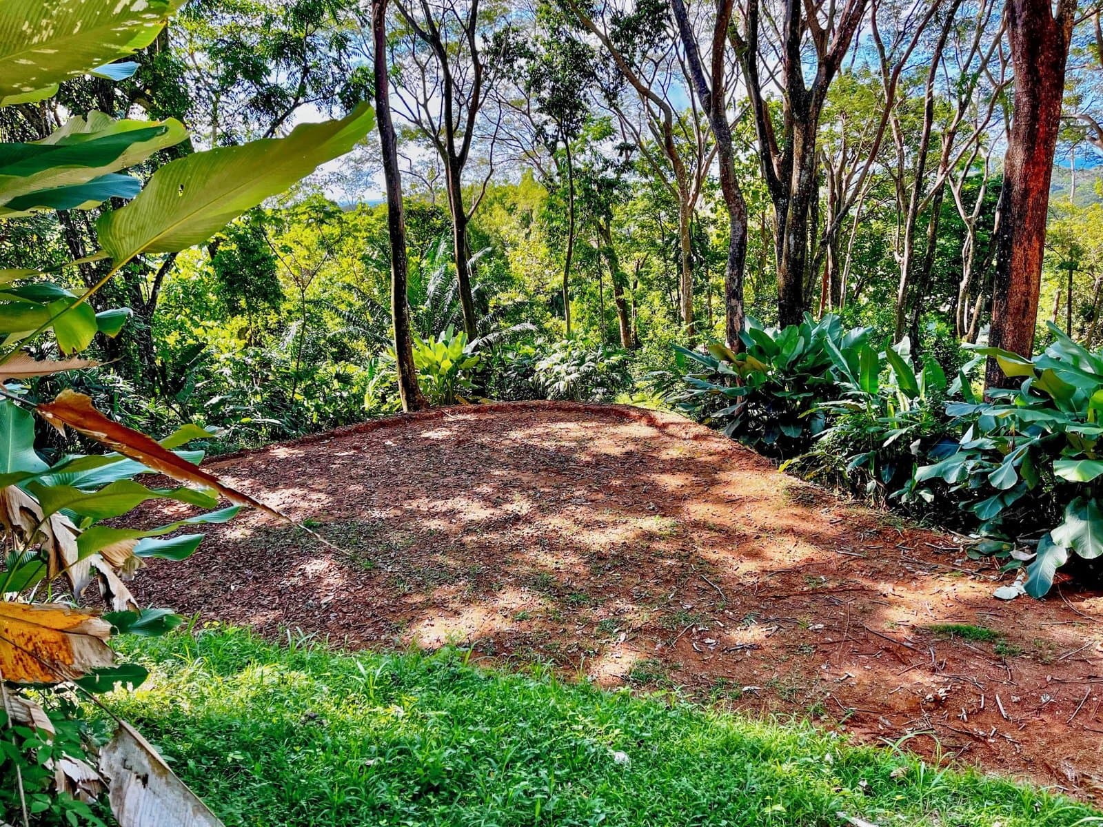 1.53 ACRES – Legal Water, Electricity, Fiber Optics, Surrounded by Jungle with Ocean Views, Great Community, 5min to the Beach! photo 1