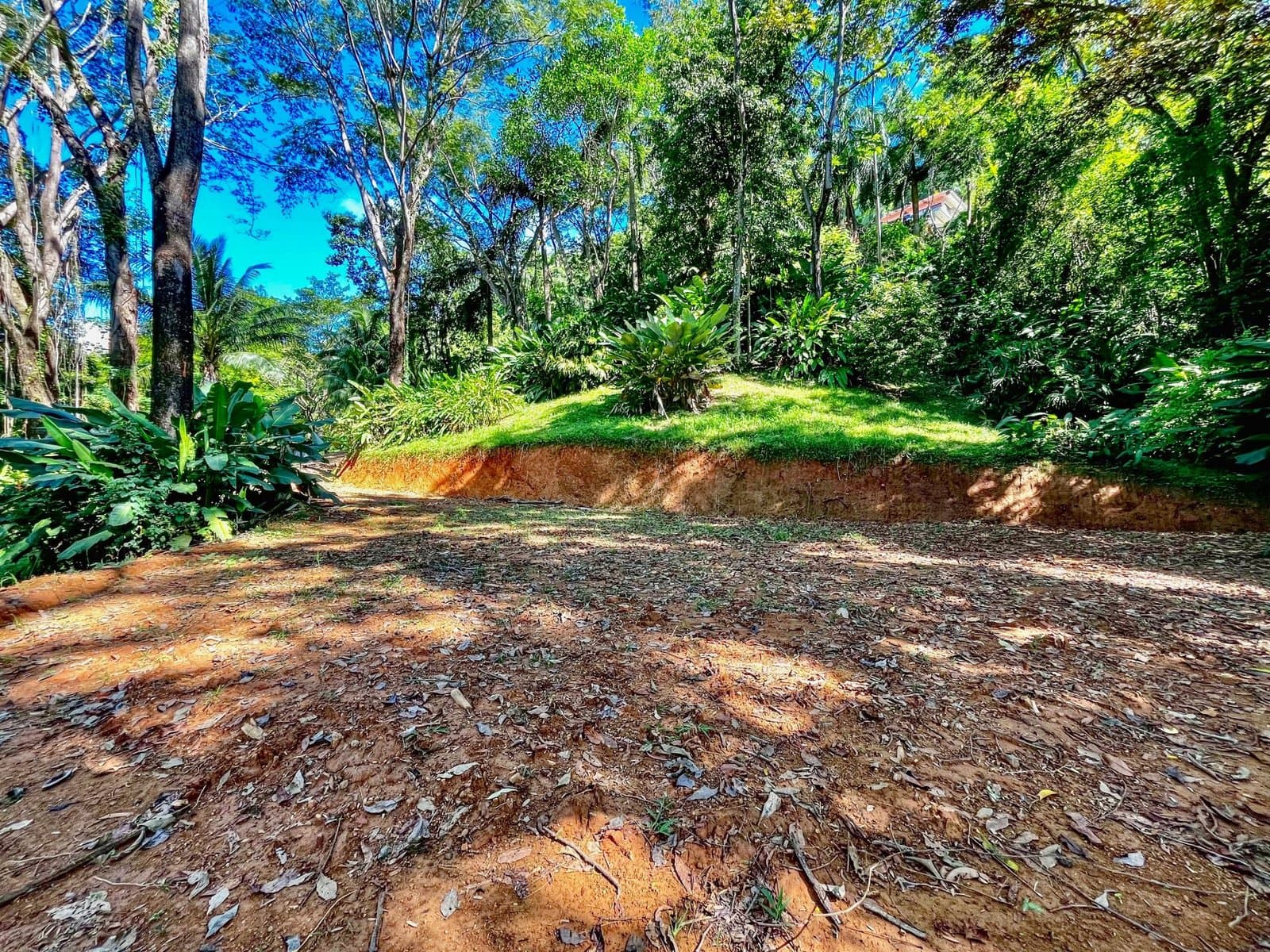 1.53 ACRES – Legal Water, Electricity, Fiber Optics, Surrounded by Jungle with Ocean Views, Great Community, 5min to the Beach! photo 3
