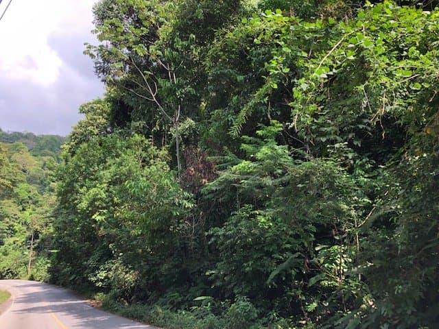 6.5 ACRES Space To Grow, Build Thrive, Close To The Beach Commercial Potential Road Frontage! photo 2