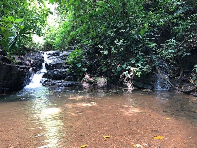 6.5 ACRES Space To Grow, Build Thrive, Close To The Beach Commercial Potential Road Frontage! photo 4