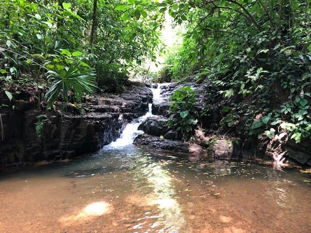 6.5 ACRES Space To Grow, Build Thrive, Close To The Beach Commercial Potential Road Frontage! photo 5