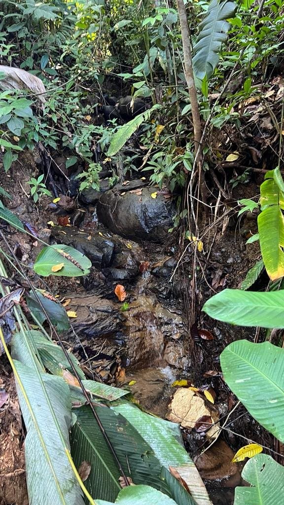 2.46 ACRES Dominical, Swim in the river, Walk to the beach, Skip to town, Water Concession Granted Recently! property photo 2 in Costa Rica