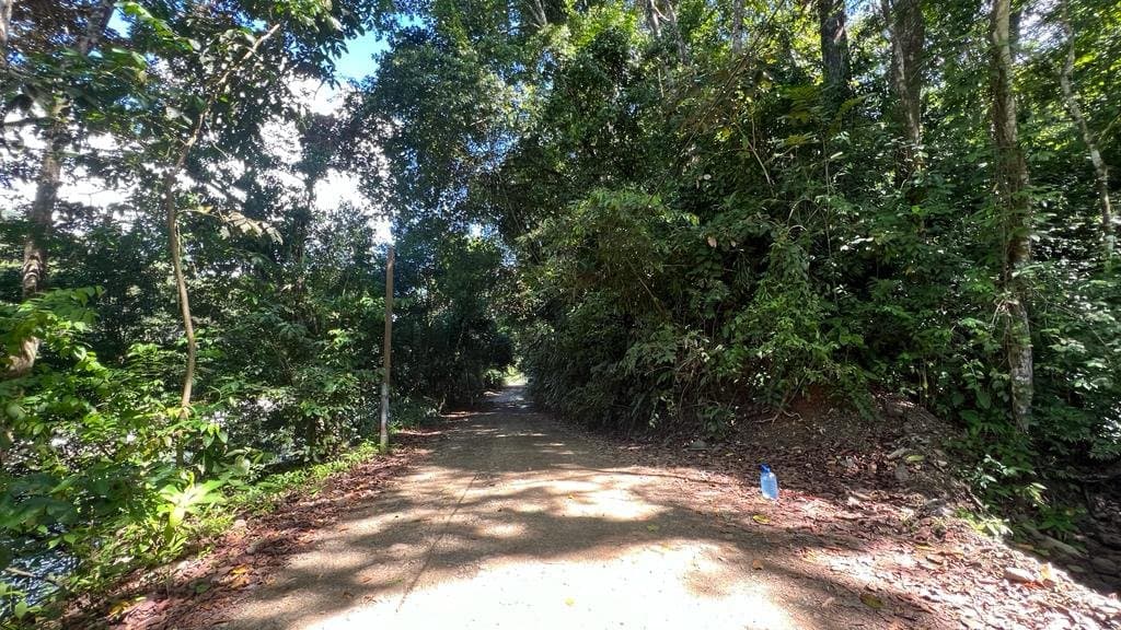 2.46 ACRES Dominical, Swim in the river, Walk to the beach, Skip to town, Water Concession Granted Recently! photo 3