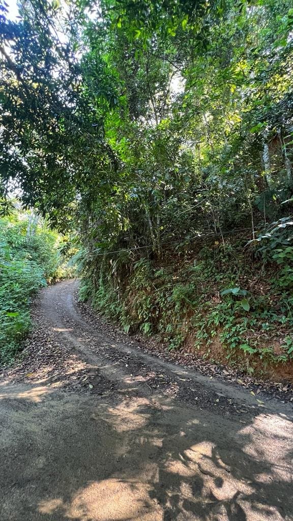 2.46 ACRES Dominical, Swim in the river, Walk to the beach, Skip to town, Water Concession Granted Recently! property photo 4 in Costa Rica