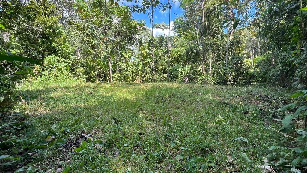 2.46 ACRES Dominical, Swim in the river, Walk to the beach, Skip to town, Water Concession Granted Recently! photo 5