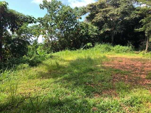 56 ACRES Peak-A-Boo Ocean Views, 3 Waterfalls, Jungle Reserve and Wildlife Corridor, Public Road Frontage! photo 4