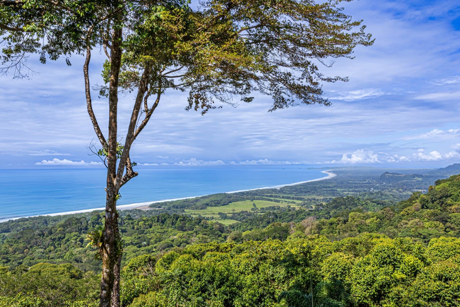 17 ACRES – 5 Bedroom Grand Estate, Guest House, SPECTACULAR VIEWS! photo 2